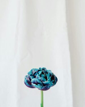 pexels-karola-g-7291780